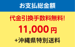 お支払総金額 代金引換手数料無料！11,000円 +沖縄県特別送料