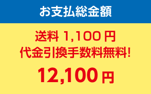 お支払総金額 送料1,100円 代金引換手数料無料！ 12,100円